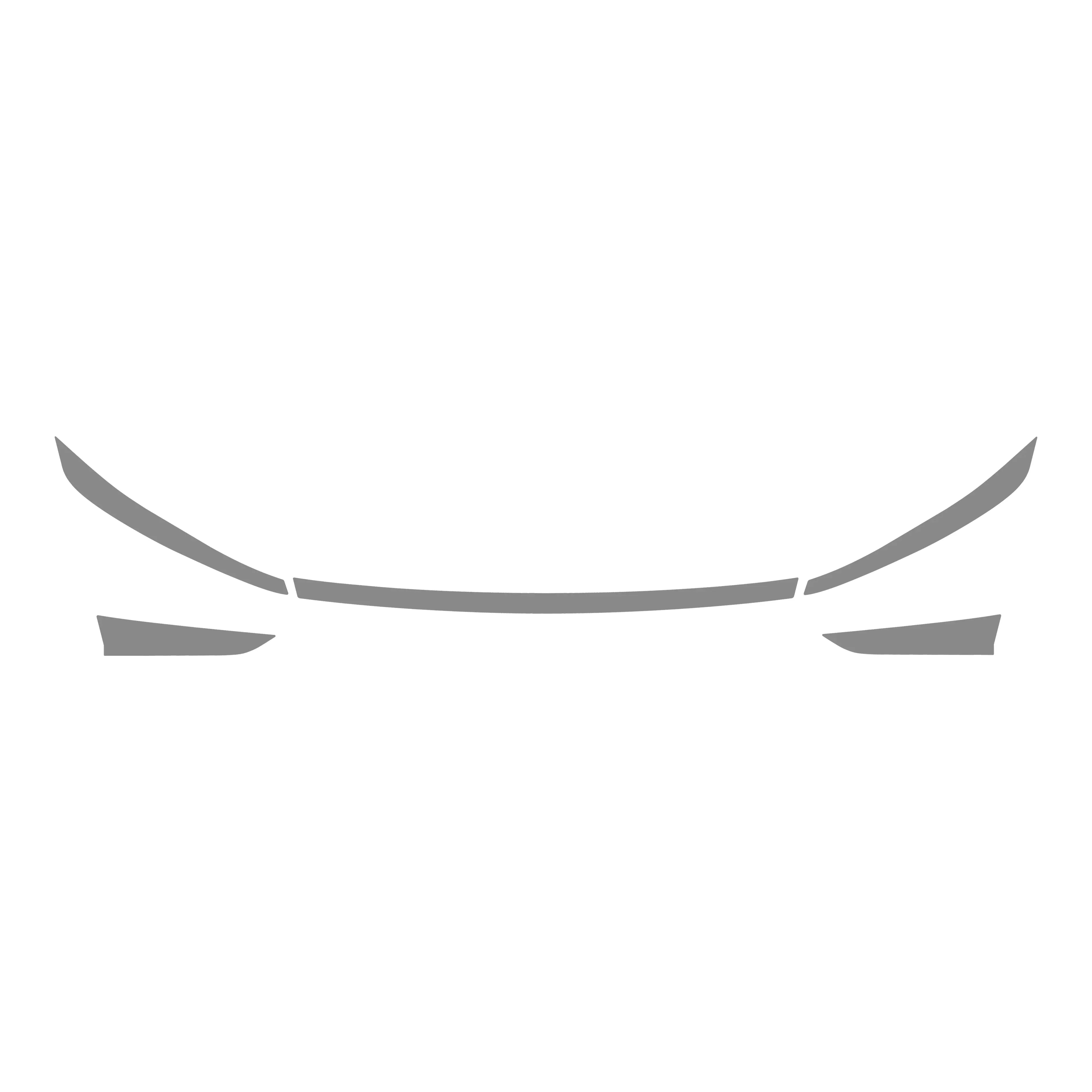 FIT PPF – Tesla Model Y 2025 Juniper Özel 210 Mikron Premium TPU PPF Kaplama Seti - FİT PPF